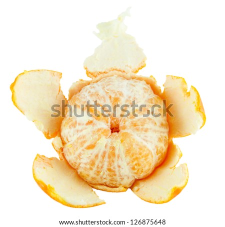 Orange casing on white background,Isolated