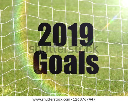 Soccer Goal Net and words 2019 GOALS on Green Grass Background with selective focus and crop fragment. Business and motivation concept
