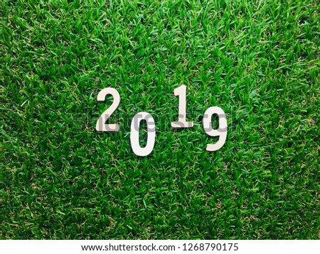 Image 2019, wooden alphabet 2019 on green grass background with copy space for your text and design. Concept be used for new year, background, backdrop, desktop, banner, wallpaper, icon and card.