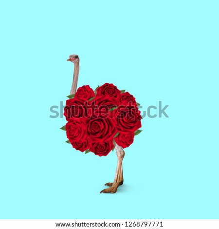 Contemporary art collage. Concept Ostrich with roses as a body on blue background.