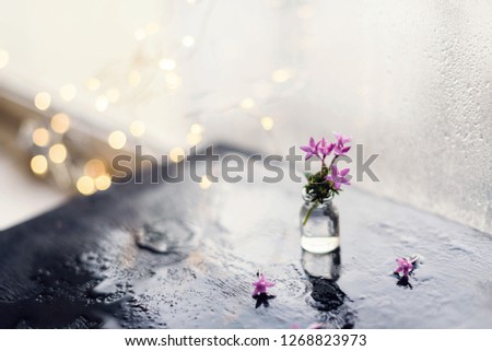 beautiful picture capture by me. some very small flowers and glass bottle is total in focus, the view develop behind the object is awesome views. pink colour flower is very good view creation by it.