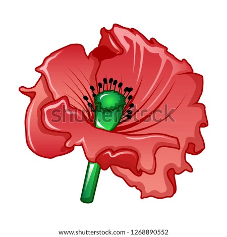 Garden poppy icon. Cartoon of garden poppy icon for web design isolated on white background