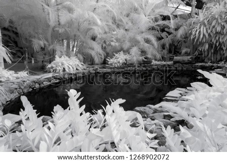 izmir natural life park with waterway infrared photo outdoor rest area