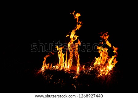 Flame on a black background or darkness, burning grass and straw dry in the wide fields of the night of December by farmers in Southeast Asia