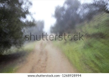 Tribute to Ernst Hass, Tribute to Monet, impressionist photograph of the photographic sweeps of trees in the fog, at low shutter speed to give a mysterious atmosphere, olive trees, oaks, toledo, spain