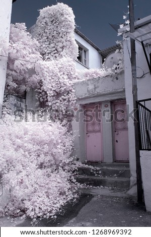 infrared photo photography tree photo amazing city street home door