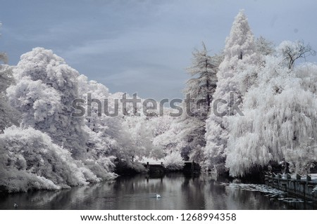 infrared photo snowy tree amazing nature lake reflection