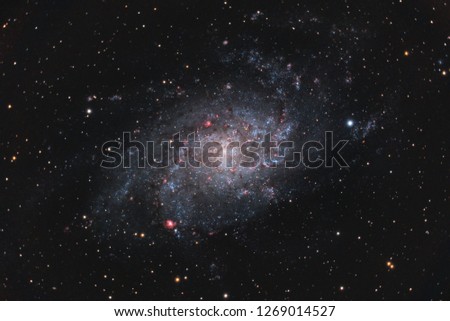 The Triangulum Galaxy