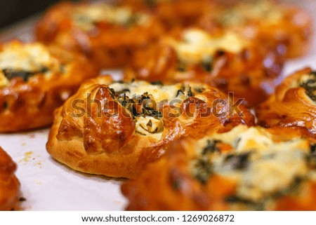 Cheese pie close up