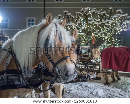 The beautiful night view of decorated gardens during Christmas time with standing horses captured in winter city centre of Salzburg. Salzburg, Austria Royalty-Free Stock Photo #1269031813