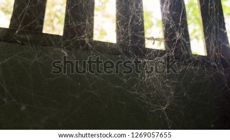 the cobweb for dirty concept