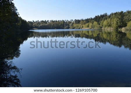 Lake in middle of forest