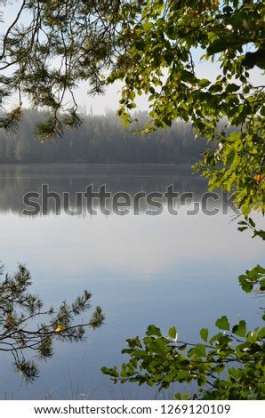 A summer lake surrounded by birch trees. Picture taken in Finland, the land of thousands of lakes.