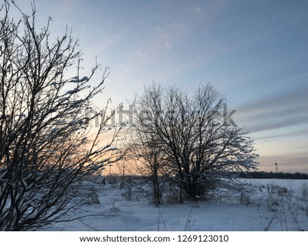 Winter landscape. Kirov region. Russia.