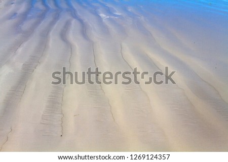 Details in the sand, Cape Le Grand National Park, Western Australia, Australia.