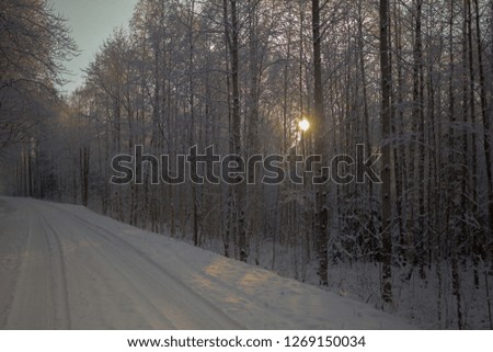 beautiful wintery day in Sweden