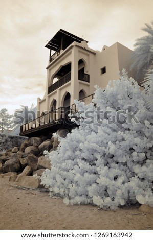 Villa Infrared Photography Style