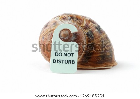 A snail shell with a do not disturb sign hanging off it, set in white surrounding.