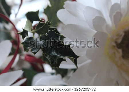 An abstract arrangement of flowers and holly