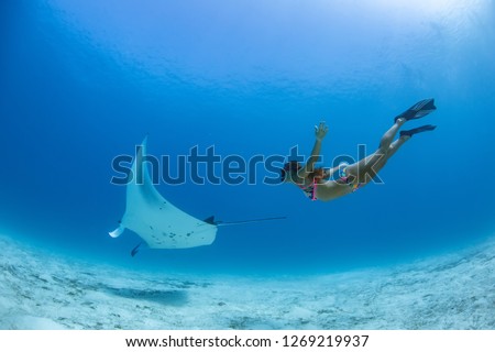 Ocean Water background Underwater Manta and Girl diving Royalty-Free Stock Photo #1269219937