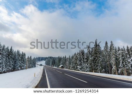 Cold Winter landscape