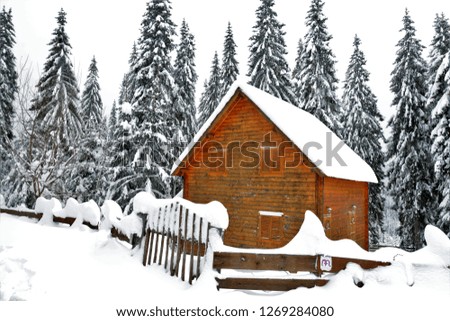 A wooden cottage in the fir forest in winter