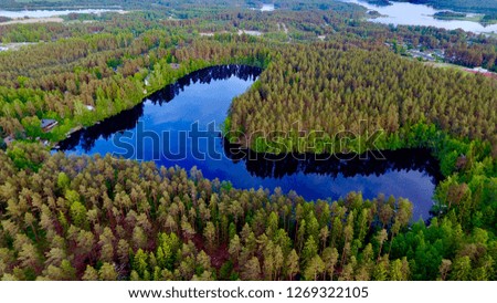 Summer aerial photography.  Blue lake among the green forest view from the top to the bottom.  Northern Europe, bright Sunny day.
