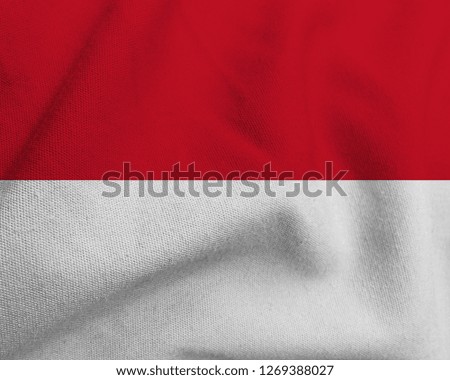 Flag of Monaco on wave