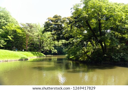 japan tokyo garden park pond tree
