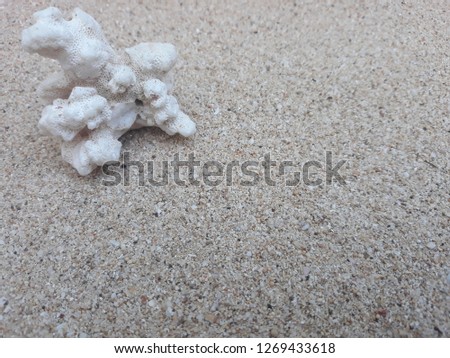 beautiful beach sand
