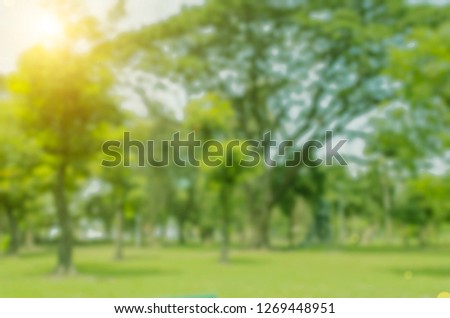 Blurred images public green trees lawn light nature abstract, in park background and summer season