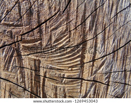 Textures of the old wood used as a background 