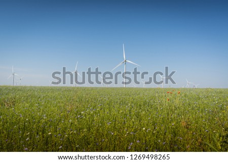 Landscape with wind generator turbines in green meadow with blue flowers and blue sky background