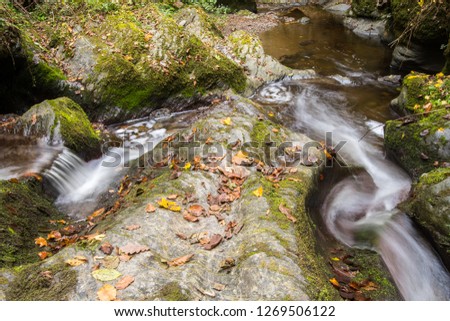 water flow between rocks with bright golden foliage