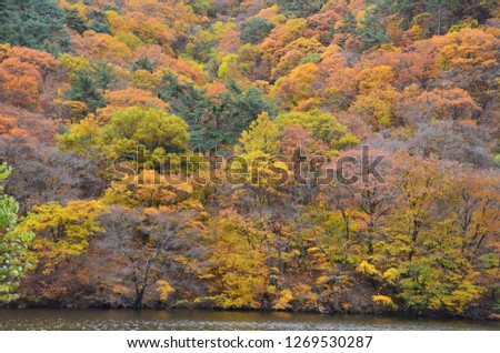 Different color of leave attract tourism in Juwangsan National Park of South Korea.  It is great for leisure walk.