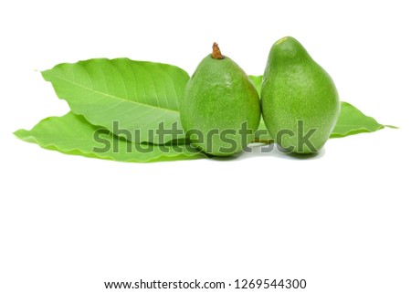 Fresh Fruit avocado