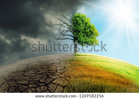 

climate change withered earth Royalty-Free Stock Photo #1269582256