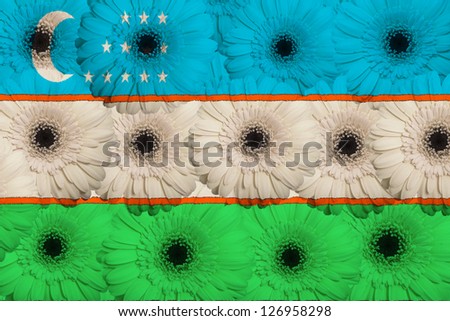 stylized national flag of uzbekistan with gerbera daisy flowers as concept and symbol of love, beauty, innocence, and positive emotions