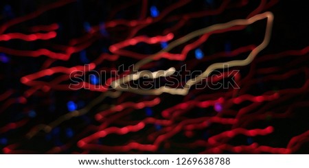 Blurred light effects. Festive decoration. Abstract background.