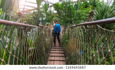 Woman with a backpack taking photographs on a suspension bridge in the jungle 