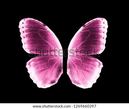 Wings of butterfly, isolated on black background