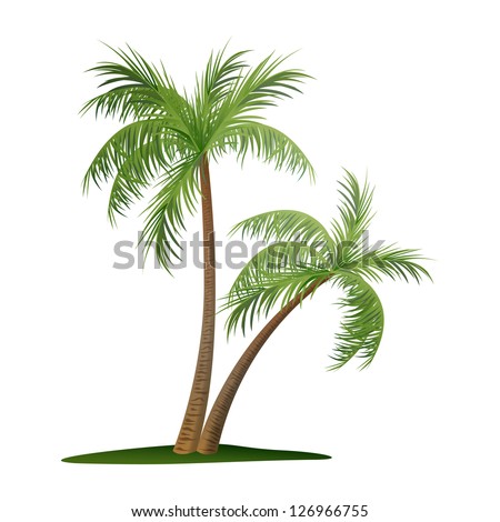 Vector Illustration of Two Palm Trees