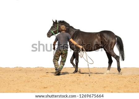 The man holds the reins of the horse, in a pen on the ranch