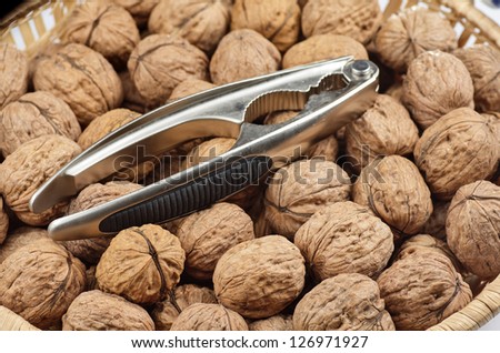 still life photography of various nuts to use as texture