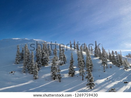 Fantastic winter landscape.artvin/turkey