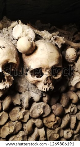 Picture of skulls in the Paris underground