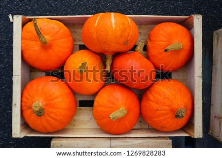 Colorful pumpkins and squashes at a winter farmers market