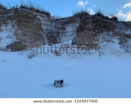 Birch Bark Beneath Snowy Sand Dunes-Lake Superior, Michigan