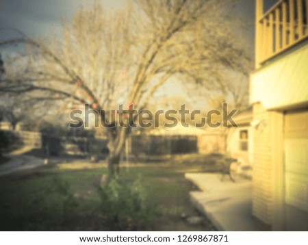 Blurred abstract backyard of single family house with thick carpet of dried leaves in fall season