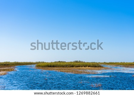 Beautiful swamp landscape with blue sky of the wetlands in Everglades National Park from an airboat ride tour, Miami, Florida.